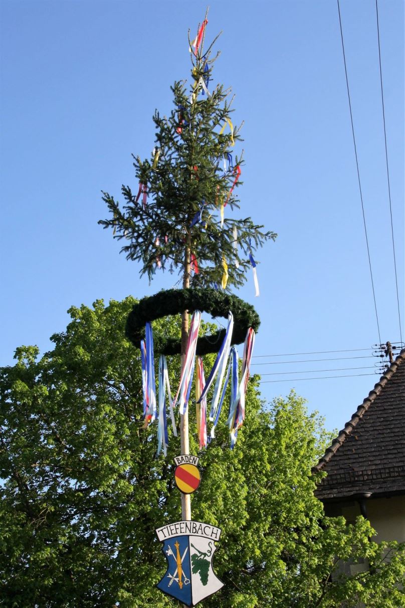 der Maibaum 2019 in Tiefenbach